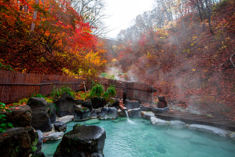 Japanese Hot Springs Onsen Natural Bath Surrounded by red-yellow leaves. In fall leaves fall in Yamagata. Japan.