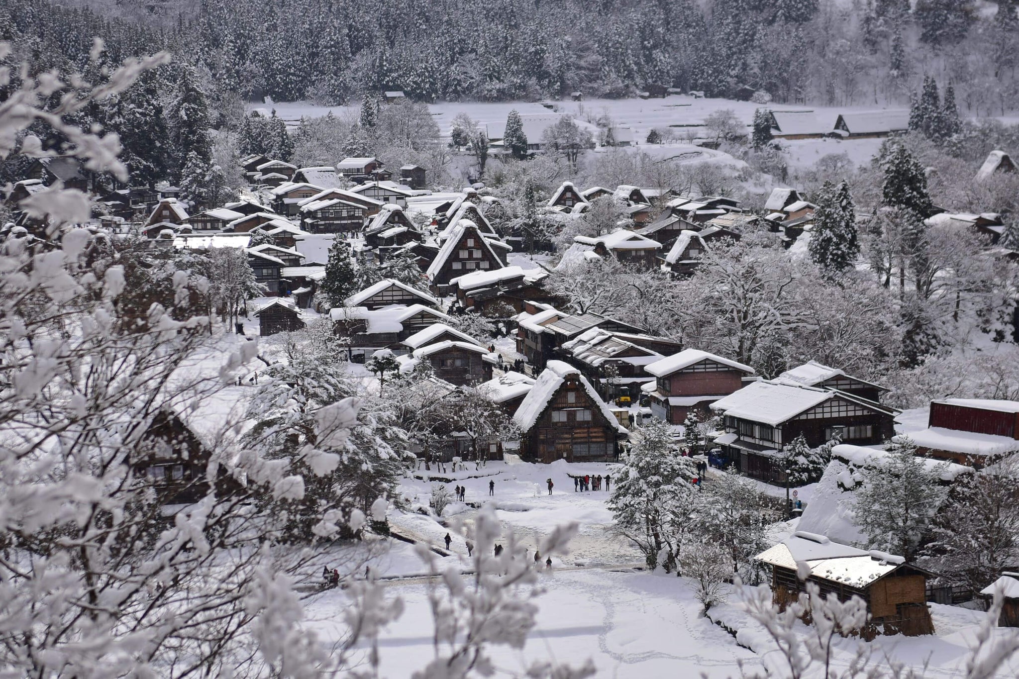 Ogimachi village