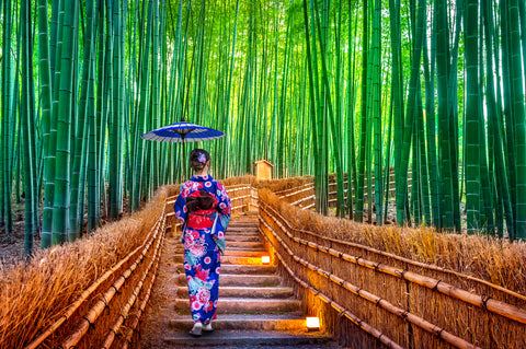 Asian woman wearing Japanese traditional kimono at Arashiyama Bamboo Forest in Kyoto, Japan