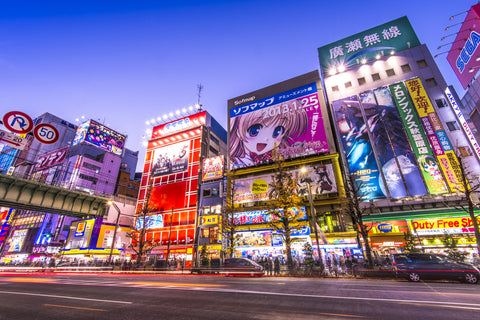 Akihabara district, famous as a source of cosplay clothes for all Japanese fans