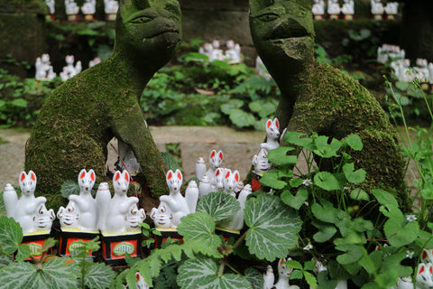 Sasuke-inari shrine is famous sightseeing spot in your next trip to Kamakura ,Japan