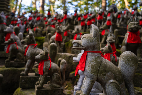 Statues of foxes in Toyokawa Inari