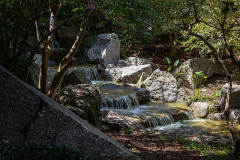 Japanese garden Houston