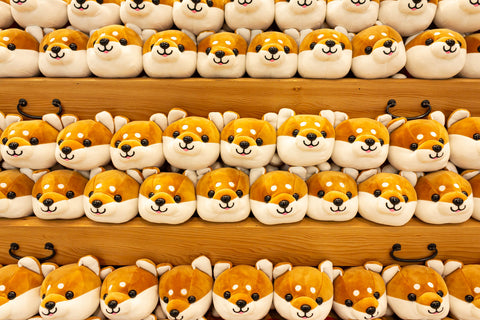 A lot of Shiba dog plushies are lined up inside store
