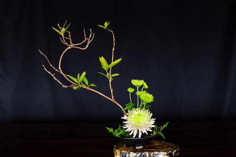 Ikebana