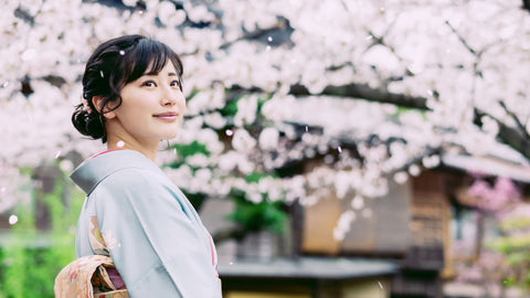 Woman wearing a kimono and falling cherry blossoms. Spring in Japan.