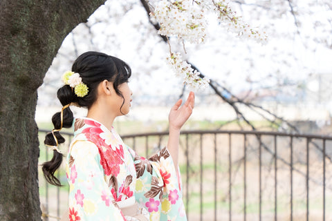 Girl looking at cherry blossoms in a hakama at an elementary school graduation ceremony
