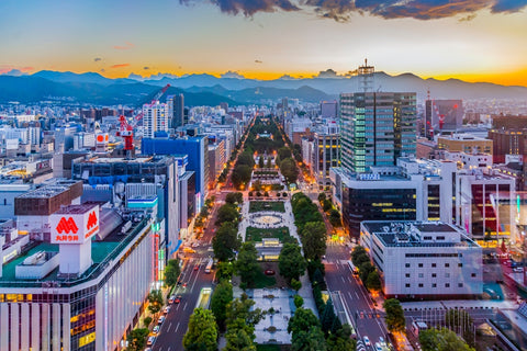 Scenic view of Odori Park and Sapporo City at Sunset from Sapporo TV Tower Observatory Deck