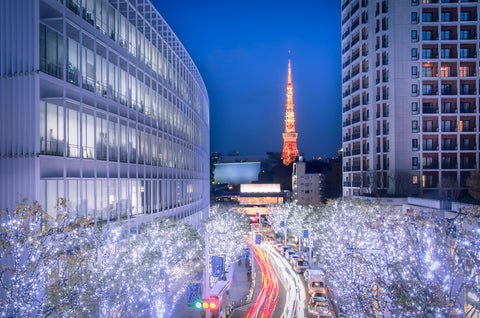 Roppongi Hills Winter Illumination and Tokyo Tower