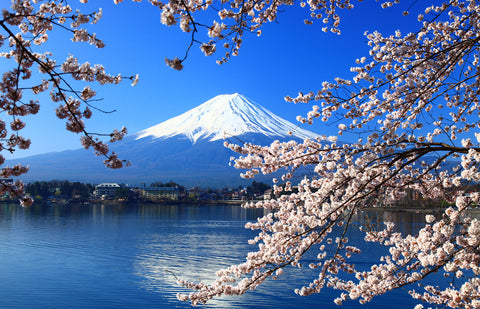 Mount Fuji, Lake Kawaguchi in early spring, Japan