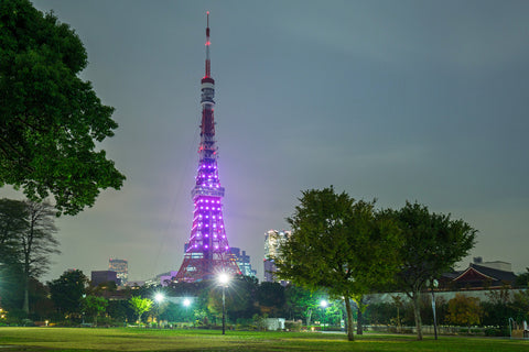 Illuminated Tokyo tower in the park at night.