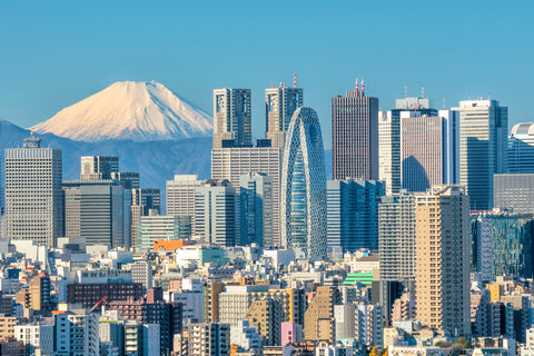 Tokyo skyline and Mountain Fuji