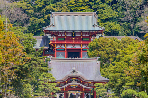 Tsurugaoka Hachimangu Shrine, Kamakura Japan