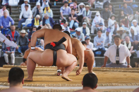 Student sumo wrestler