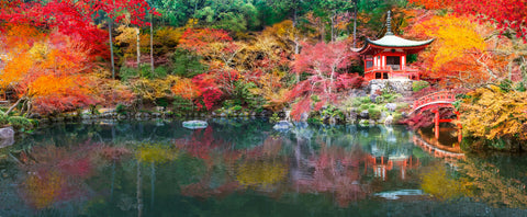 Japanese Gardens