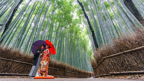 Couple takes wedding photos in the famous Arashiyama bamboo grove track in Kyoto, Japan