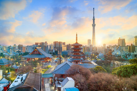 View of Tokyo skyline with Senso-ji Temple and Tokyo skytree at twilight in Japan. Tokyo Skytree station area