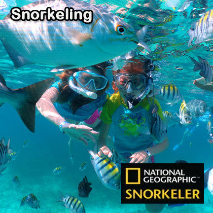 Snorkeling Private Tour - Playa Vacation