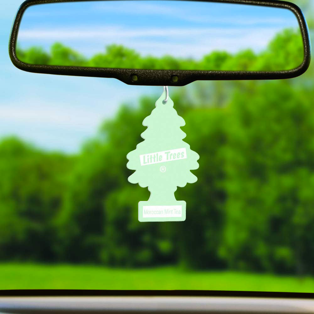 Little Trees Car Air Freshener 6 Pack Moroccan Mint Tea By Goso Direct