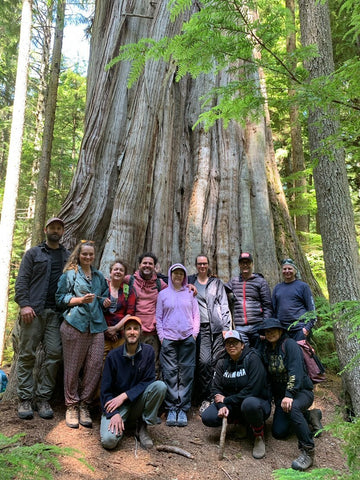 The Tree of Life 2021 crew standing in front of an old-growth tree