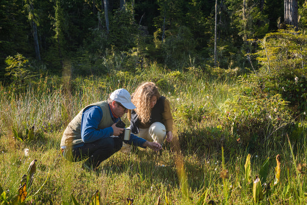 Paul Walde and ethnoarchaeologist Chelsey Geralda Armstrong examine plant species in a meadow