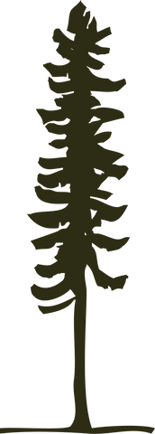 The ecologyst Sitka tree logo.