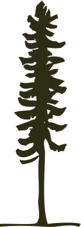 ecologyst Tree Logo