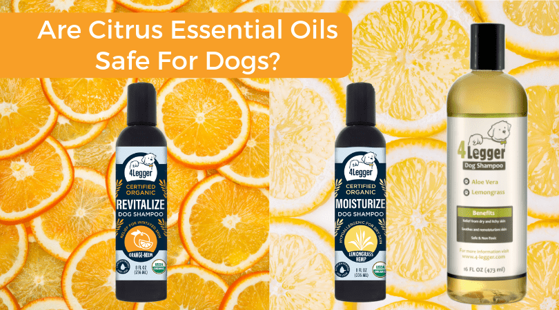 Are Citrus Essential Oils Safe For Pets 