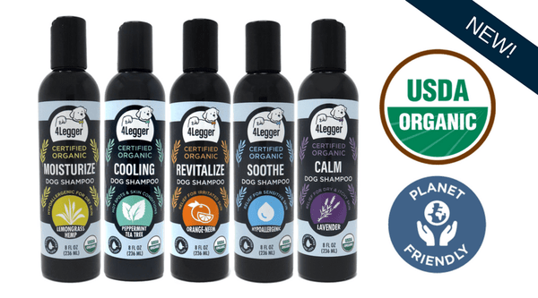 best organic dog shampoo