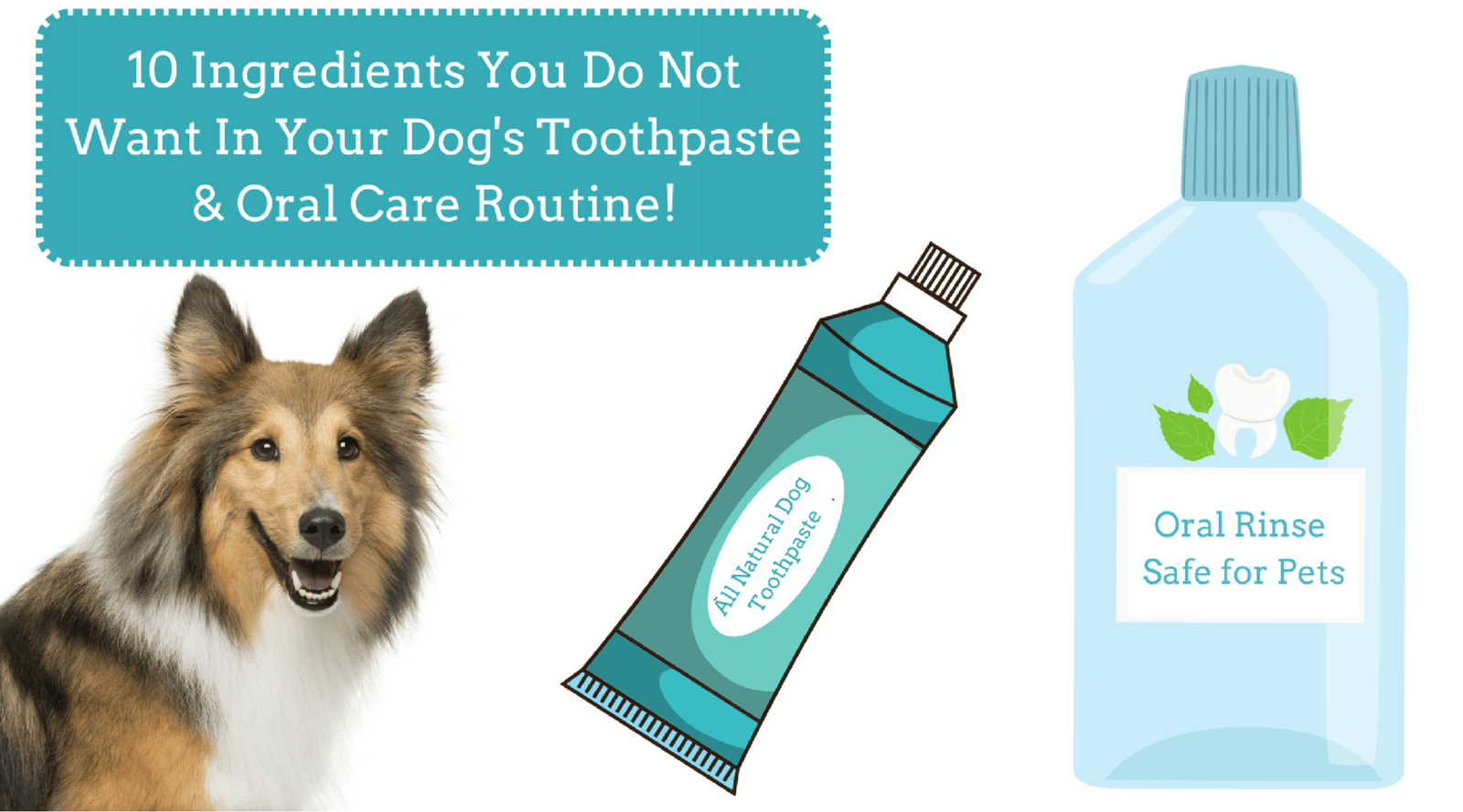 natural pet toothpaste