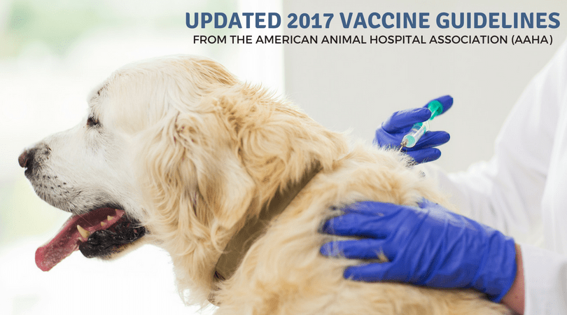 highlights-from-the-updated-2017-canine-vaccination-guidelines-4-legger