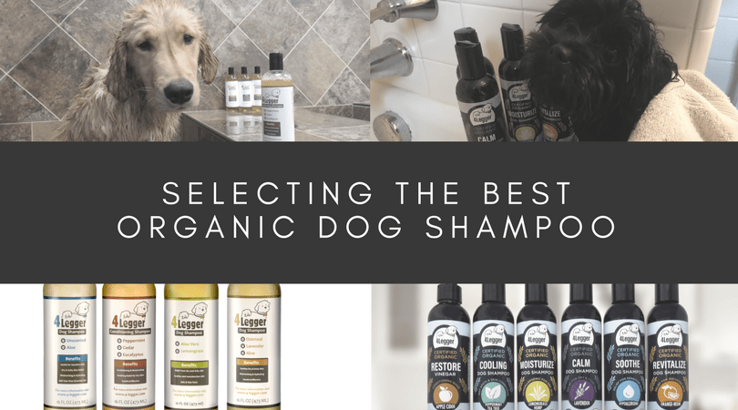 best organic dog shampoo