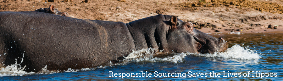 Socially responsible sourcing of shea butter saves the lives of hippos