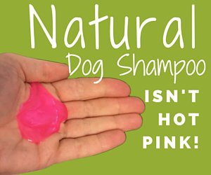 Natural Dog Shampoo is Not Hot Pink