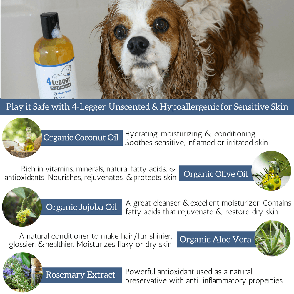 dog dry skin shampoo