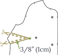 Fuller/Smaller Bust Adjustment (FBA/SBA) for a Raglan Sleeve Top by Twig + Tale