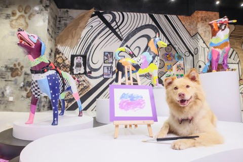 This art show has gone to the DOGS literally.  Michel Keck Dog Collage Art Exhibit Hong Kong