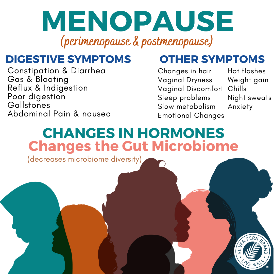 Connection Between Gut Health, Hormones, and Menopause - Dr. Jolene Brighten