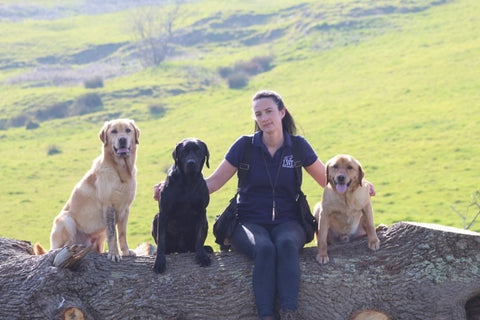 owner with gundogs