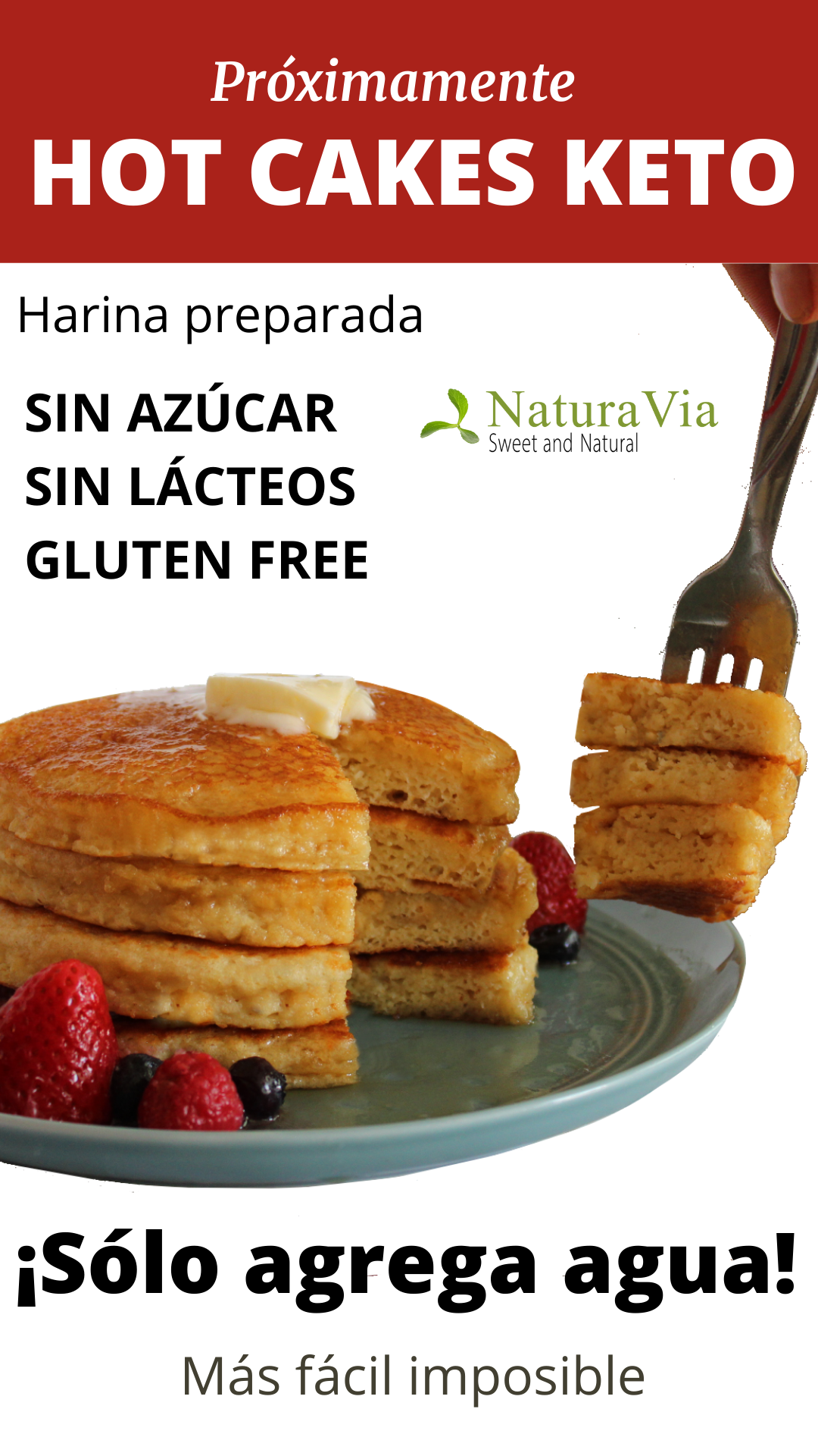 NUEVA! Harina para HotCakes Keto ¡Sólo agrega agua! – NaturaVia