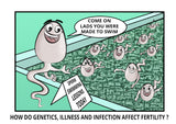 como é que a genética - genética - doença - doença - infecção - espermatozóide