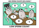 are-sperm-counts-declining