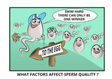 ¿Qué factores afectan a la calidad de los espermatozoides