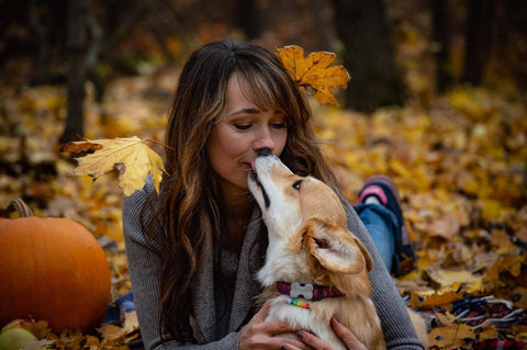 Dog kisses and companionship.