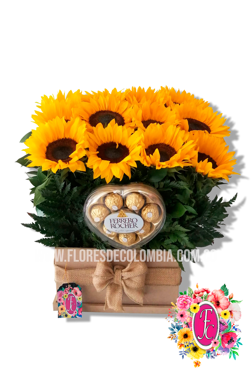 Caja regalos de girasoles + chocolates – Flores de Colombia