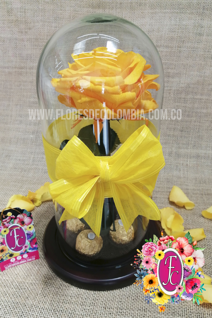 Rosa preservada amarilla – Flores de Colombia