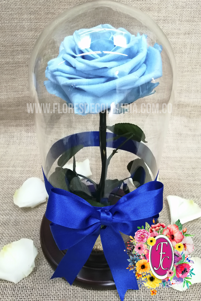 Rosa preservada azul – Flores de Colombia