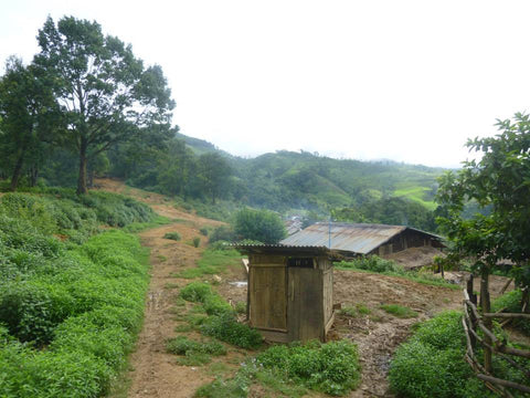 Village Toilet