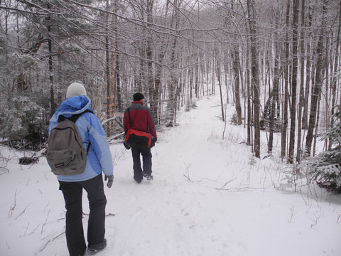 A walk in the woods