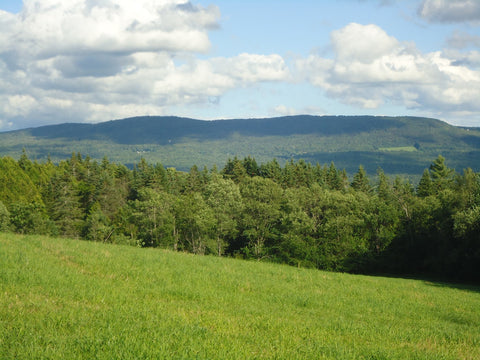 A farm since the 1700s, Stannard Farm is a true family farm.